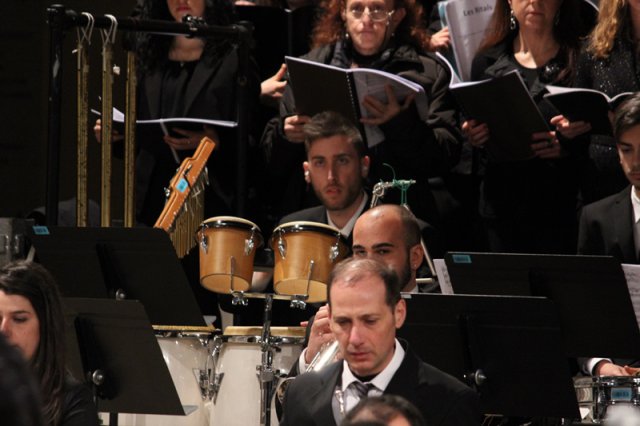 bellini10