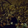 vaticano5