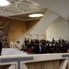 vaticano8